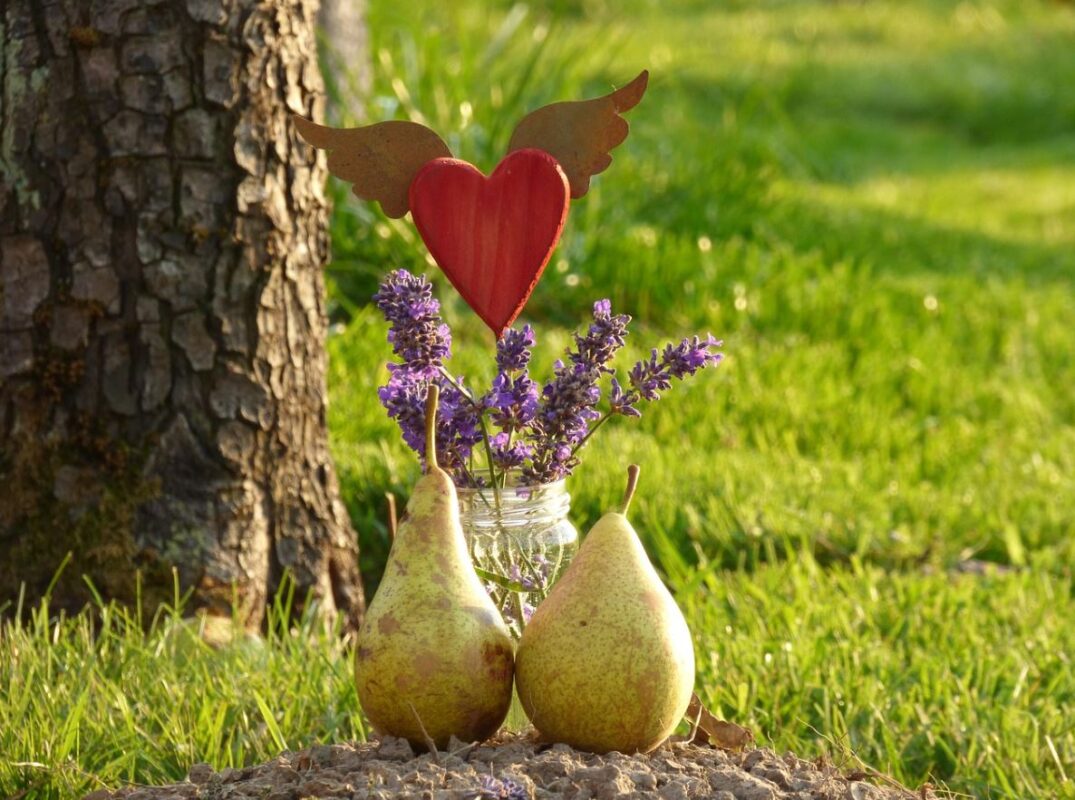 cremation service in Boston, MA