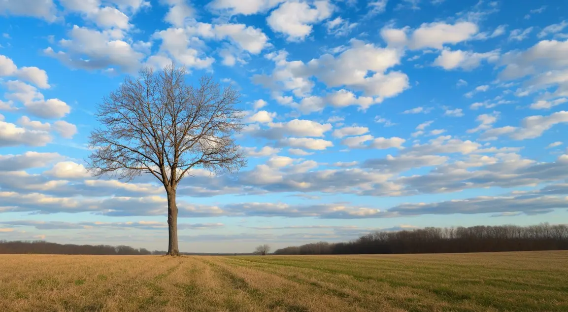 Boston, MA cremations