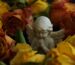 cremation service Nashua, NH